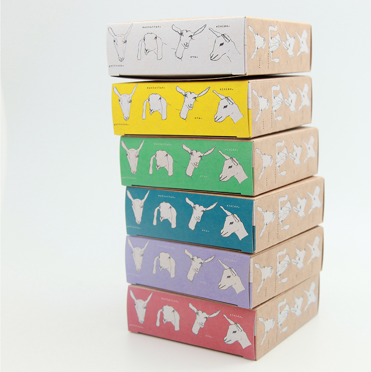 Big Picture Farm Goat Milk Caramel Vanilla Small Box Homestedt