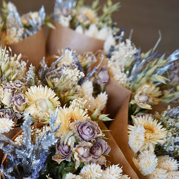 Dried Flowers - Market More - Frosted White