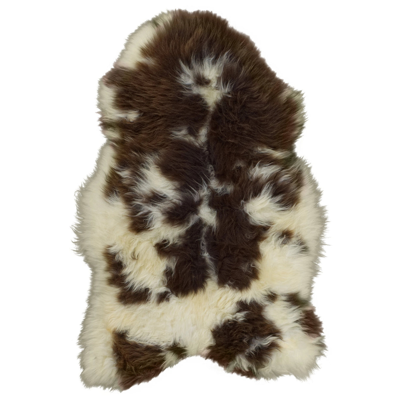 Dutch Texel Sheepskin