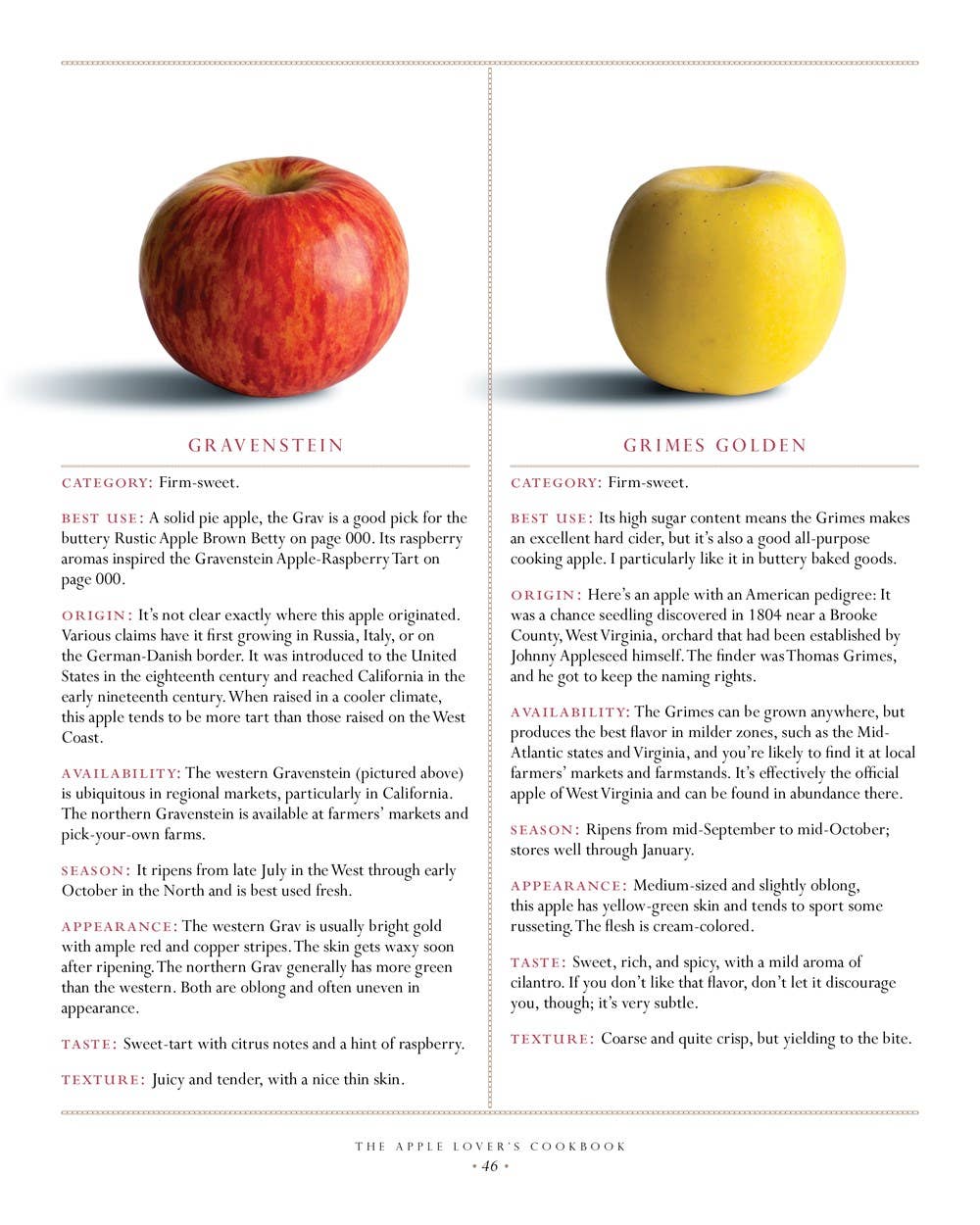 The Apple Lover's Cookbook: Revised and Updated