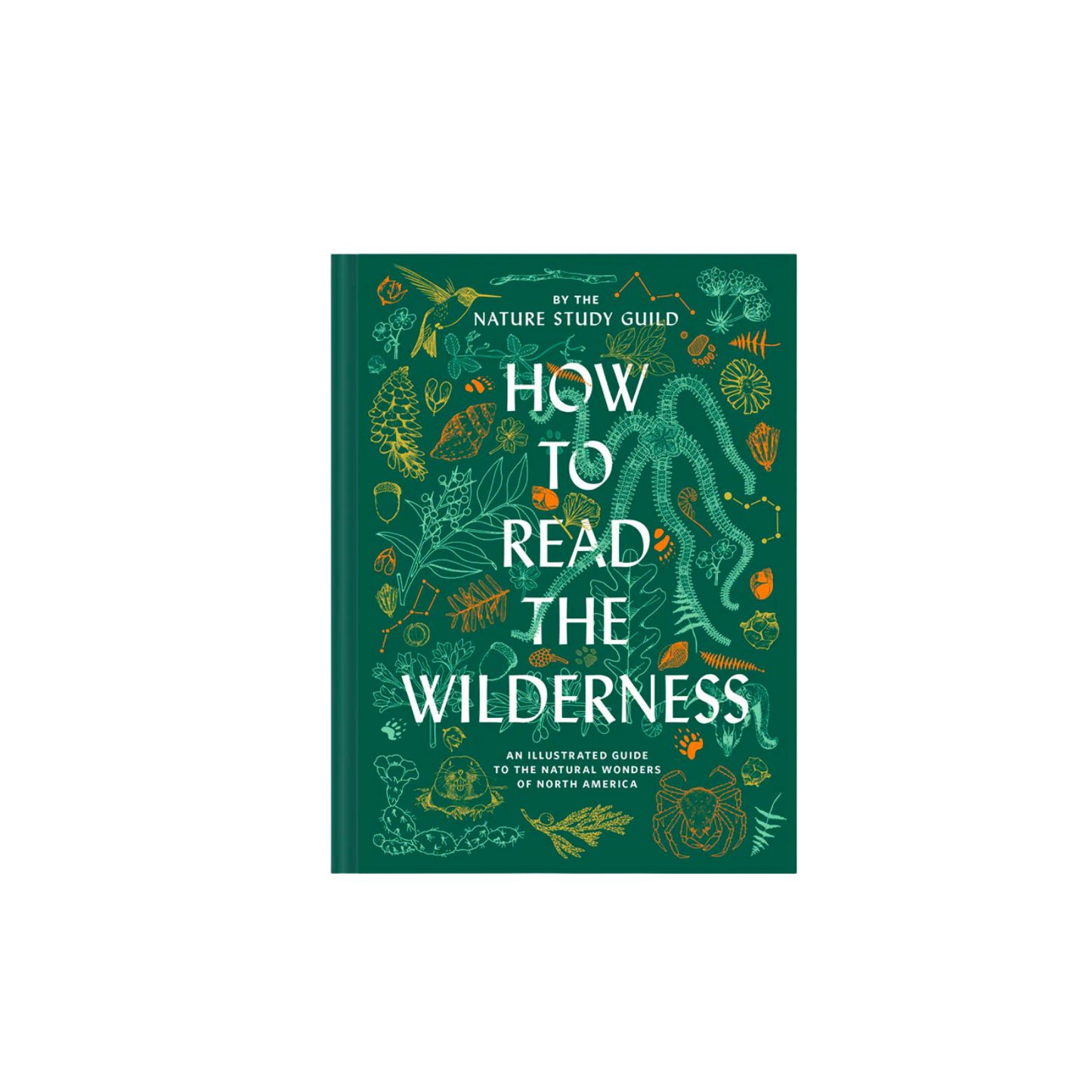 How to Read the Wilderness - Nature Study Guild