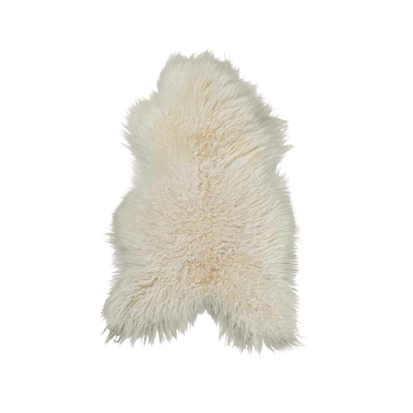 Large  White Icelandic sheepskin
