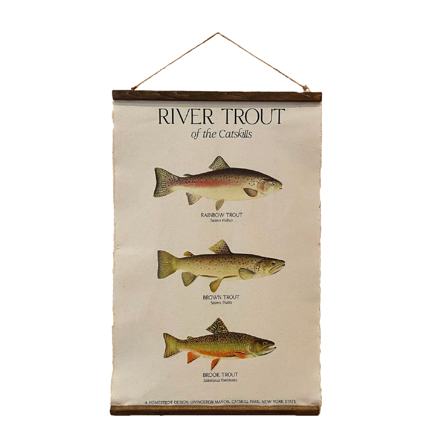 Trout of the Catskills Wall Hanging Canvas Print
